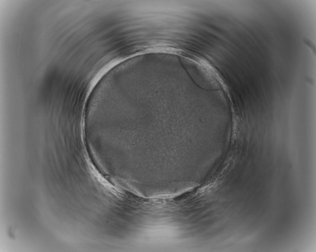 X0000100390955200806201711