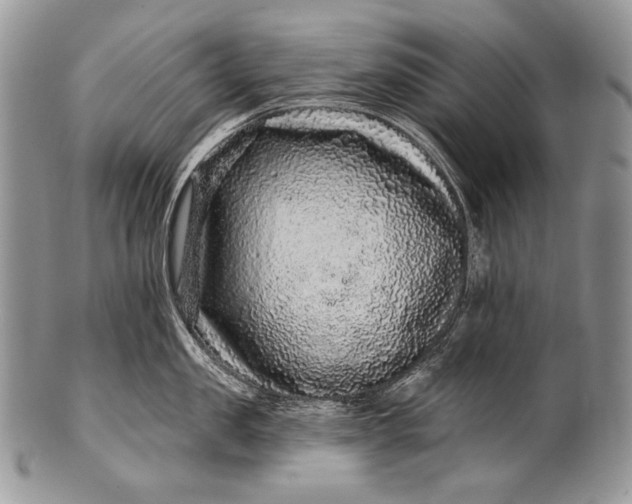 X0000100390957200806201711