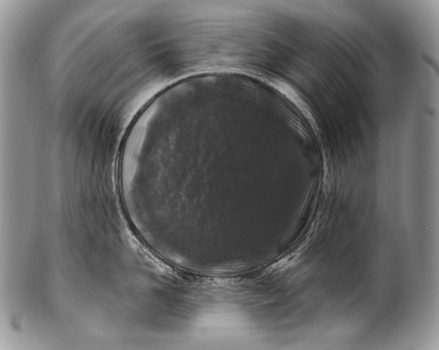 X0000100390958200806201711