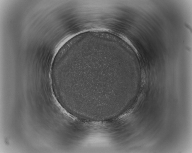 X0000100390959200806201711