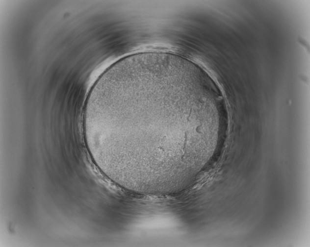 X0000100390960200806201711