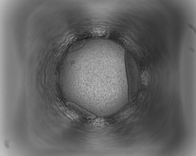 X0000100390961200806201710