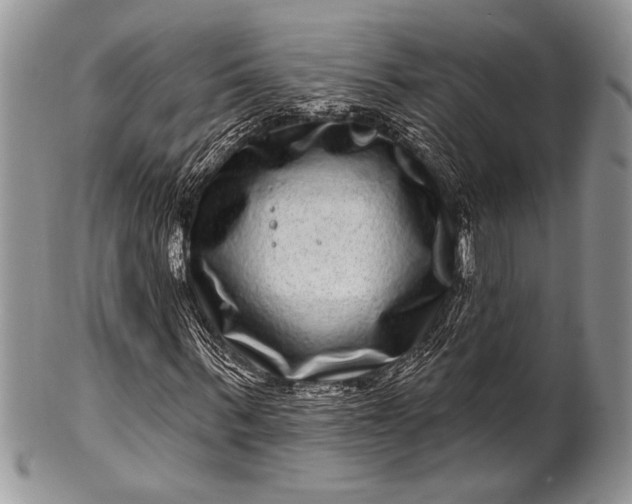 X0000100390963200806201710