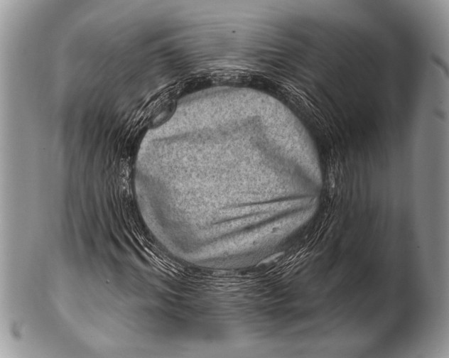 X0000100390964200806201710