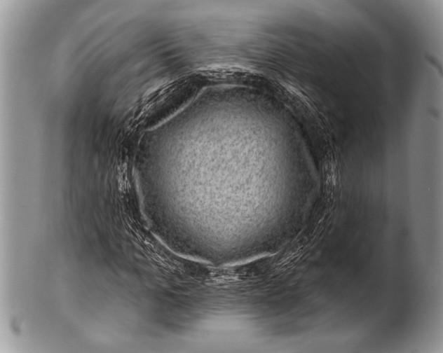 X0000100390965200806201710