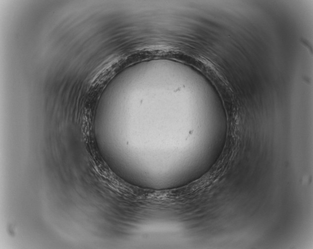 X0000100390967200806201710