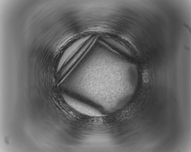 X0000100390968200806201710