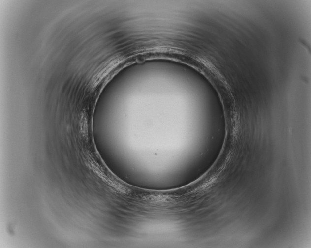 X0000100390969200806201710