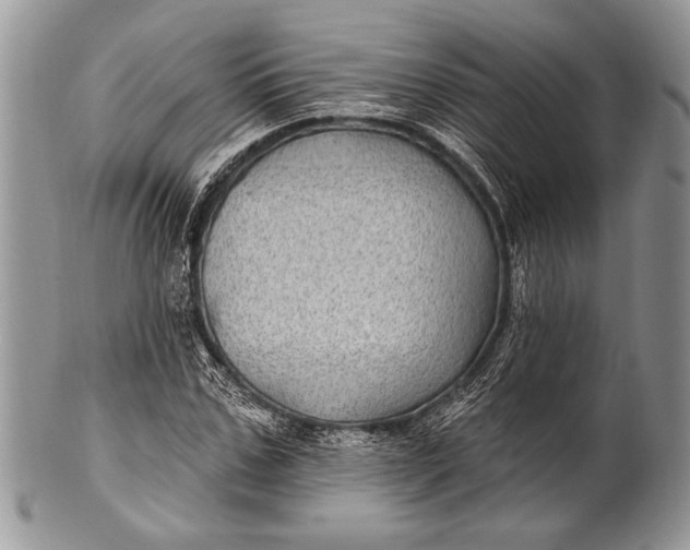 X0000100390971200806201710