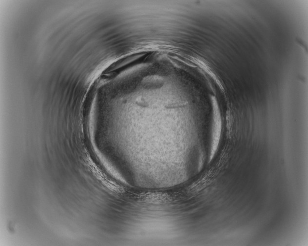 X0000100390972200806201710