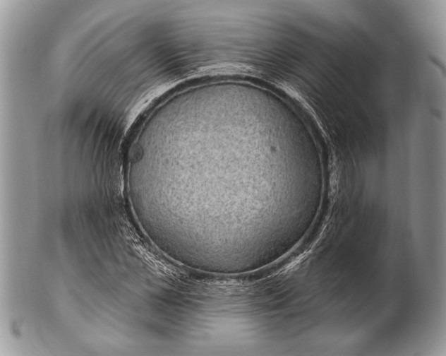 X0000100390973200806201710