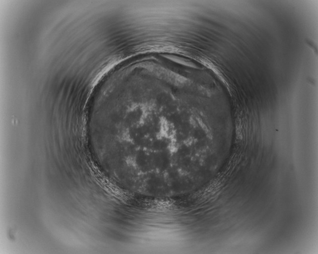 X0000100390975200806201710