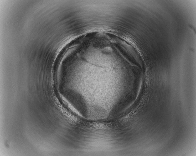 X0000100390976200806201710