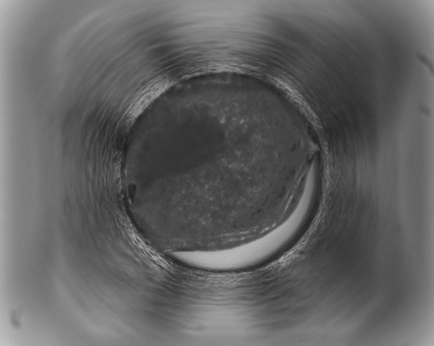 X0000100390977200806201710