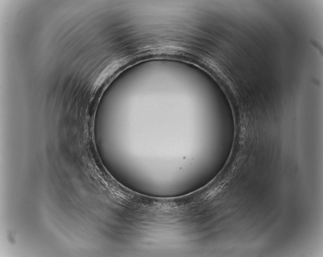 X0000100390978200806201710