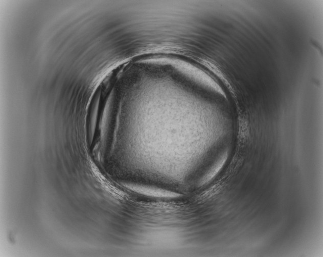 X0000100390980200806201710