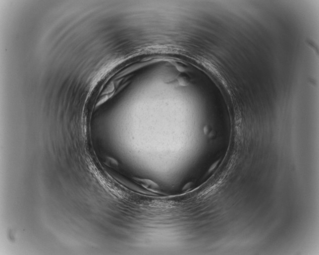 X0000100390981200806201710