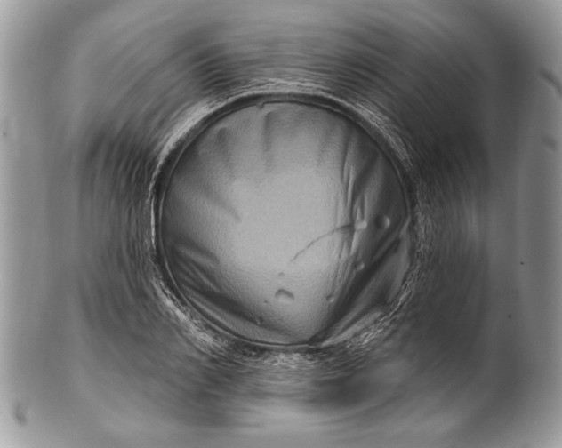 X0000100390982200806201710