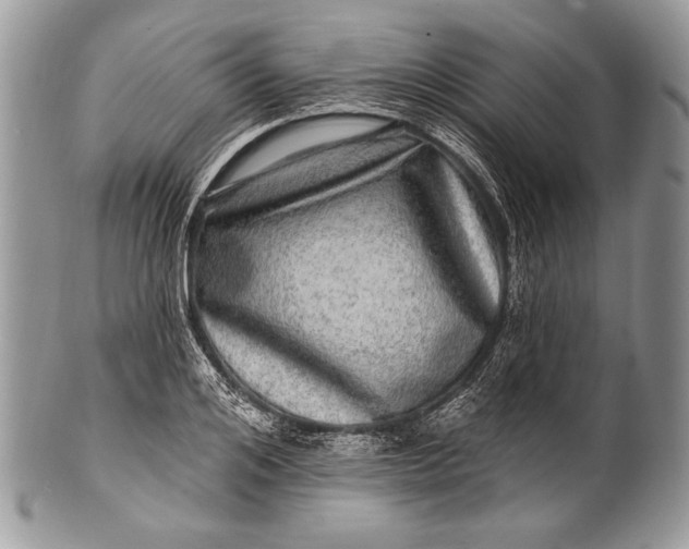 X0000100390984200806201710