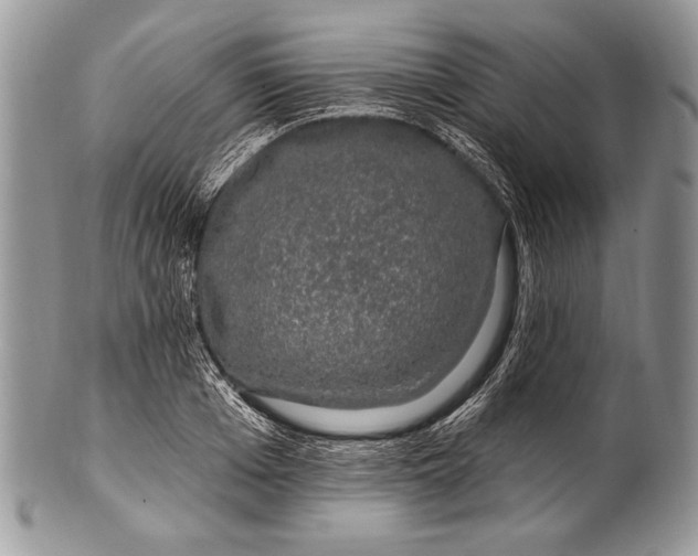 X0000100390985200806201710