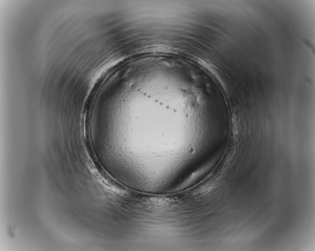 X0000100390987200806201710