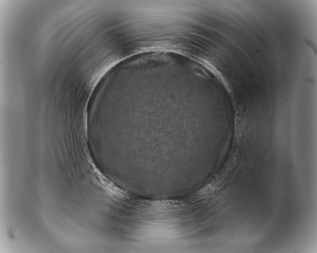 X0000100390988200806201710