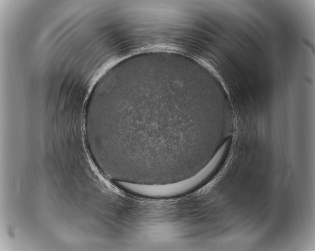 X0000100390989200806201710