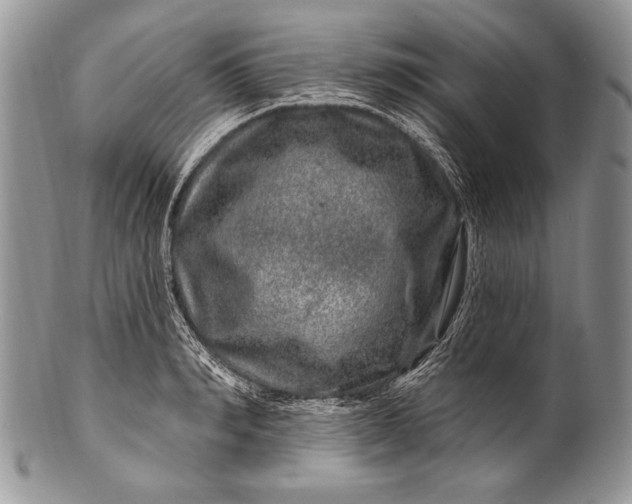 X0000100390990200806201710