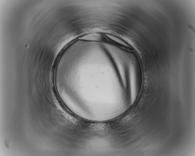 X0000100390991200806201710