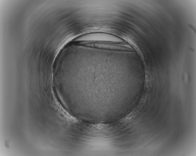 X0000100390992200806201710