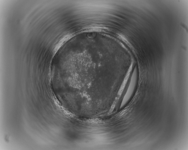 X0000100390994200806201710