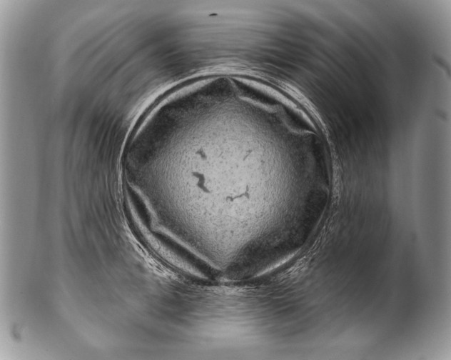 X0000100390996200806201710