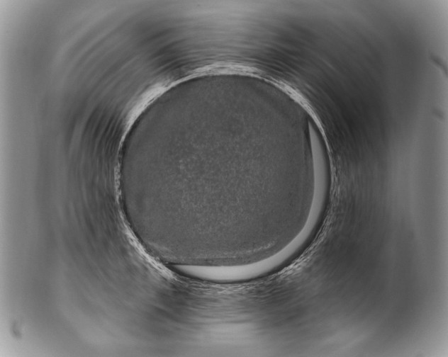 X0000100390997200806201710