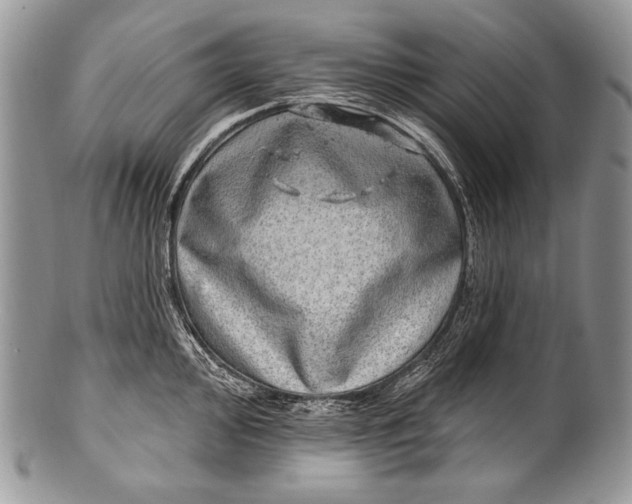 X0000100391000200806201709