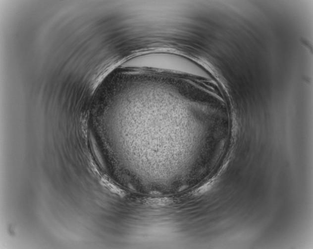 X0000100391001200806201709