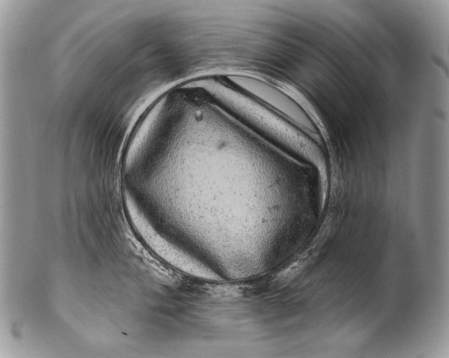 X0000100391004200806201709