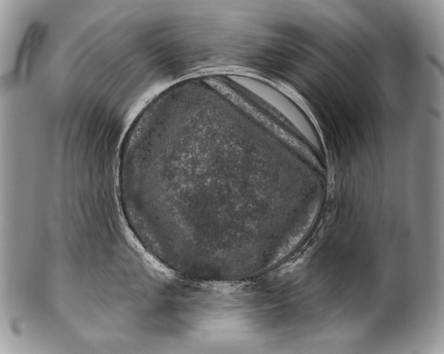 X0000100391005200806201709