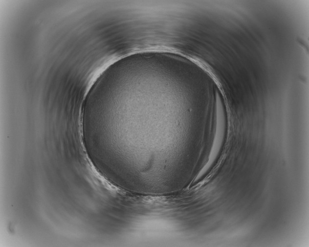 X0000100391006200806201709