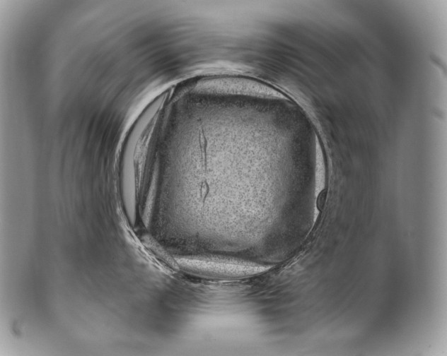 X0000100391008200806201709