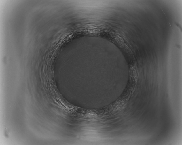 X0000100391009200806201709