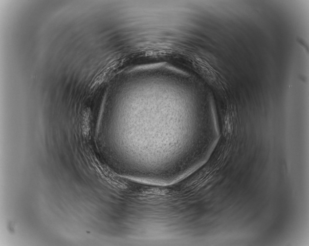 X0000100391012200806201709