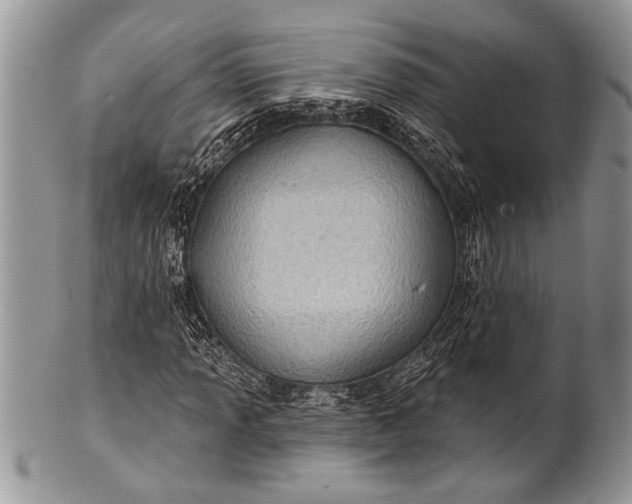 X0000100391013200806201709