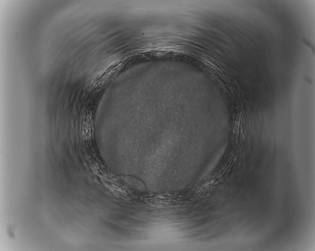 X0000100391014200806201709