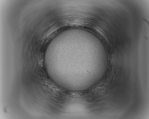 X0000100391015200806201709