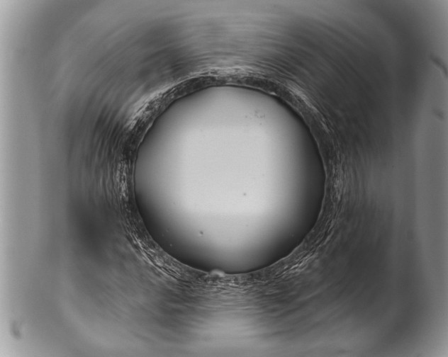 X0000100391016200806201709