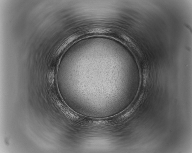 X0000100391017200806201709