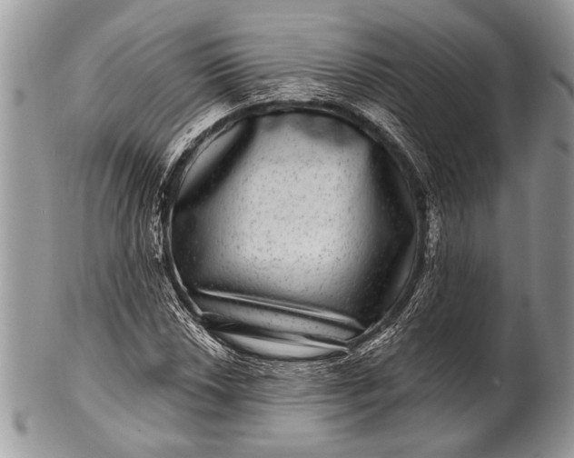 X0000100391018200806201709