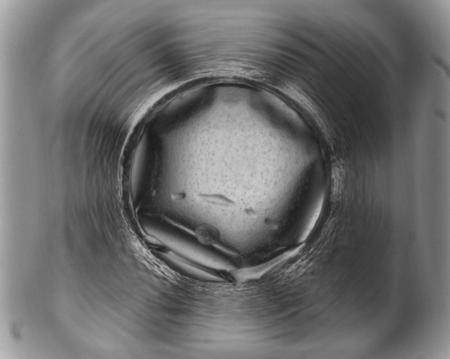 X0000100391020200806201709