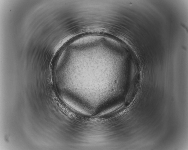 X0000100391022200806201709