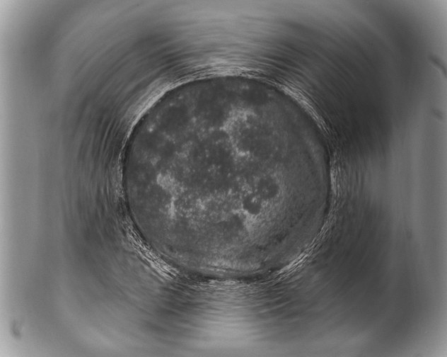 X0000100391023200806201709